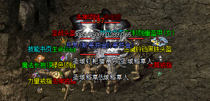 传奇私服游戏法师的高伤害法术在组队中如何最大化利用，同时避免被敌方战士快速接近