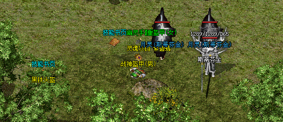 传奇私服40级的法师适合在玛雅神殿还是在天空秘境升级打怪